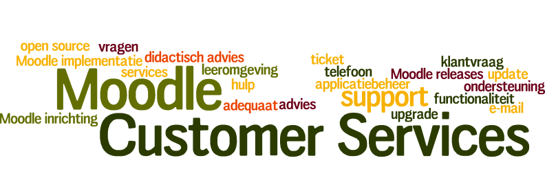 Customer Services Moodle